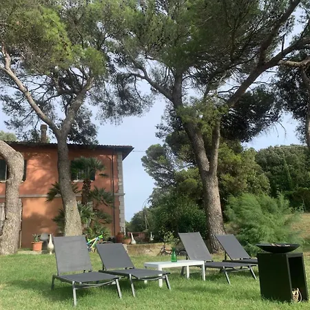 Allulivus Montenero (Livorno)