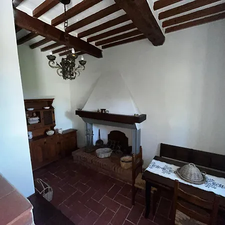 Allulivus * Montenero (Livorno)