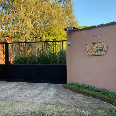 Bed & Breakfast Allulivus *