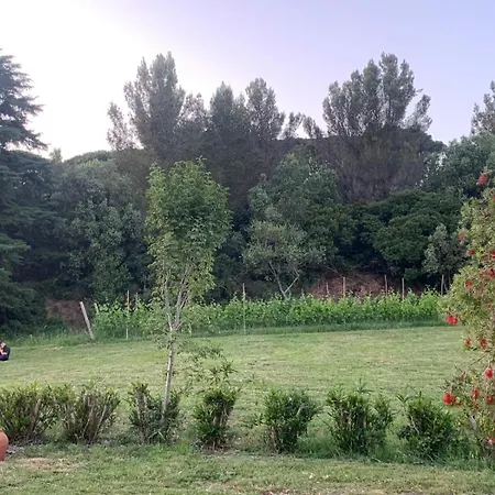 Bed & Breakfast Allulivus *